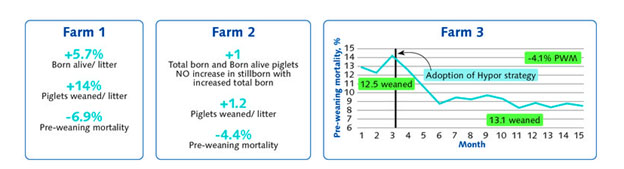 Керівництво Hypor по ефективному управлінню опоросом