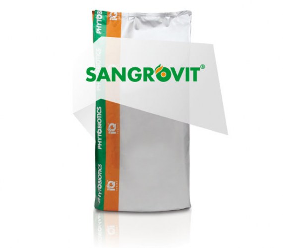 Сангровіт Экстра - растительная кормовая добавка с противовоспалительным действием